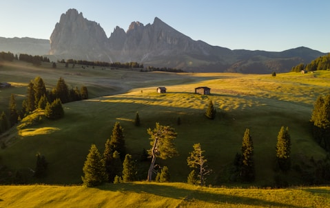 Fine Art Photography